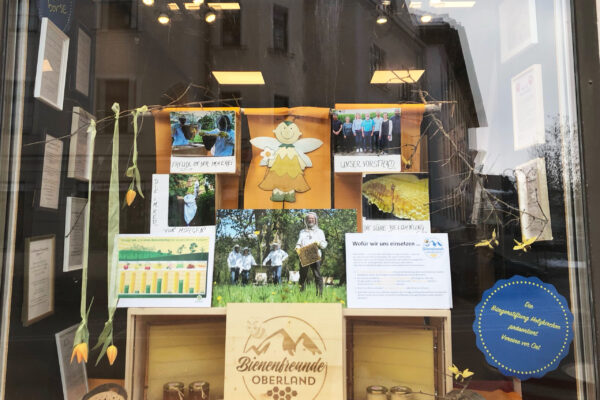 Schaufenster-Bienen